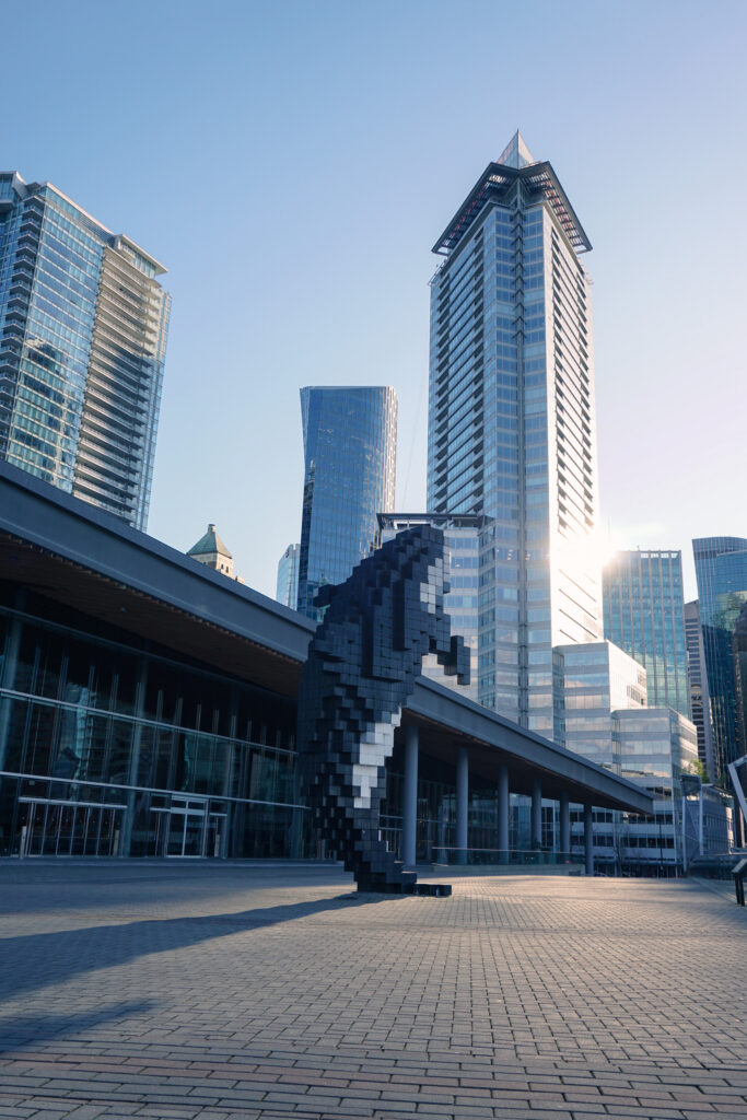 Downtown Vancouver Orca, shot on A6000, photo by Alex Lau