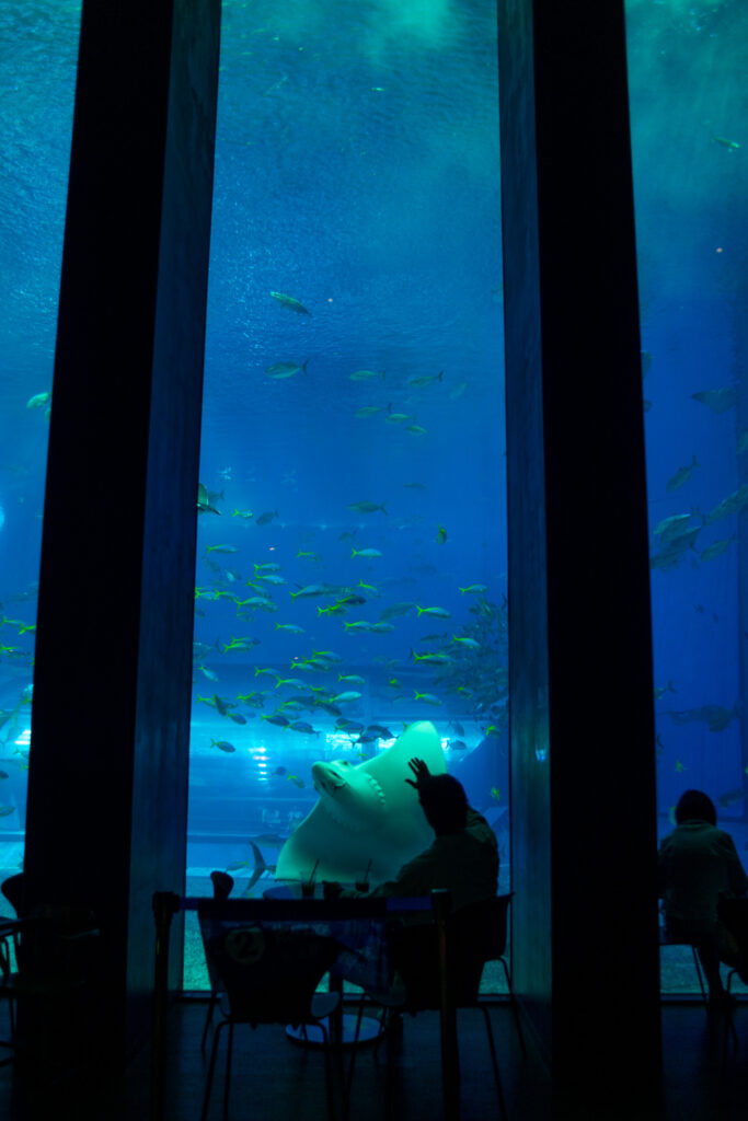 Okinawa Churaumi Aquarium shot by Alex Lau