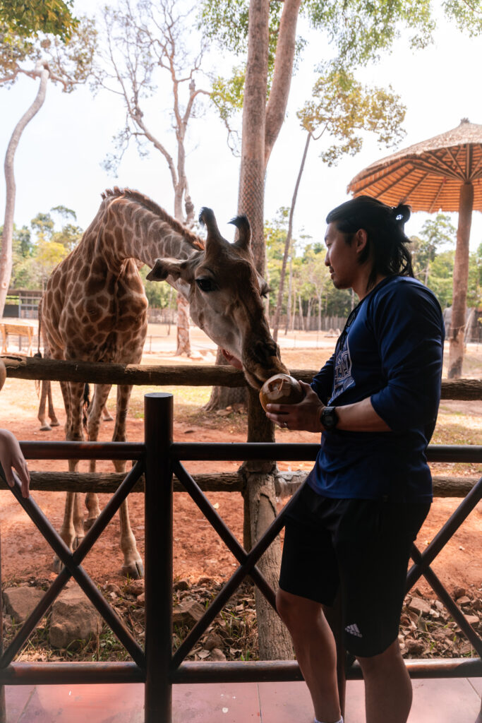 VinSafari giraffe in Phu Quoc, Vietnam, shot by Alex Lau