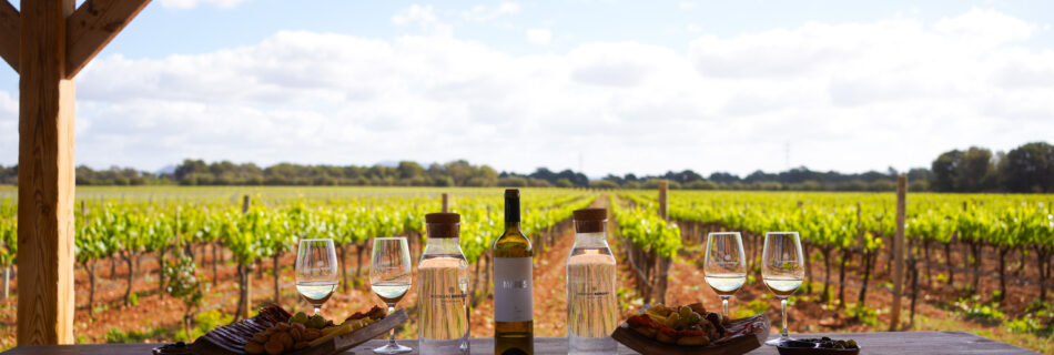 Bodegas Bordoy Winery in Palma de Mallorca, photo by Alex Lau