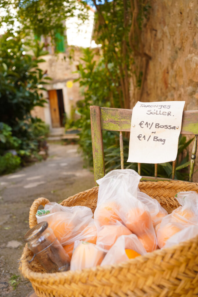 Valldemossa streetside oranges, photo by Alex Lau