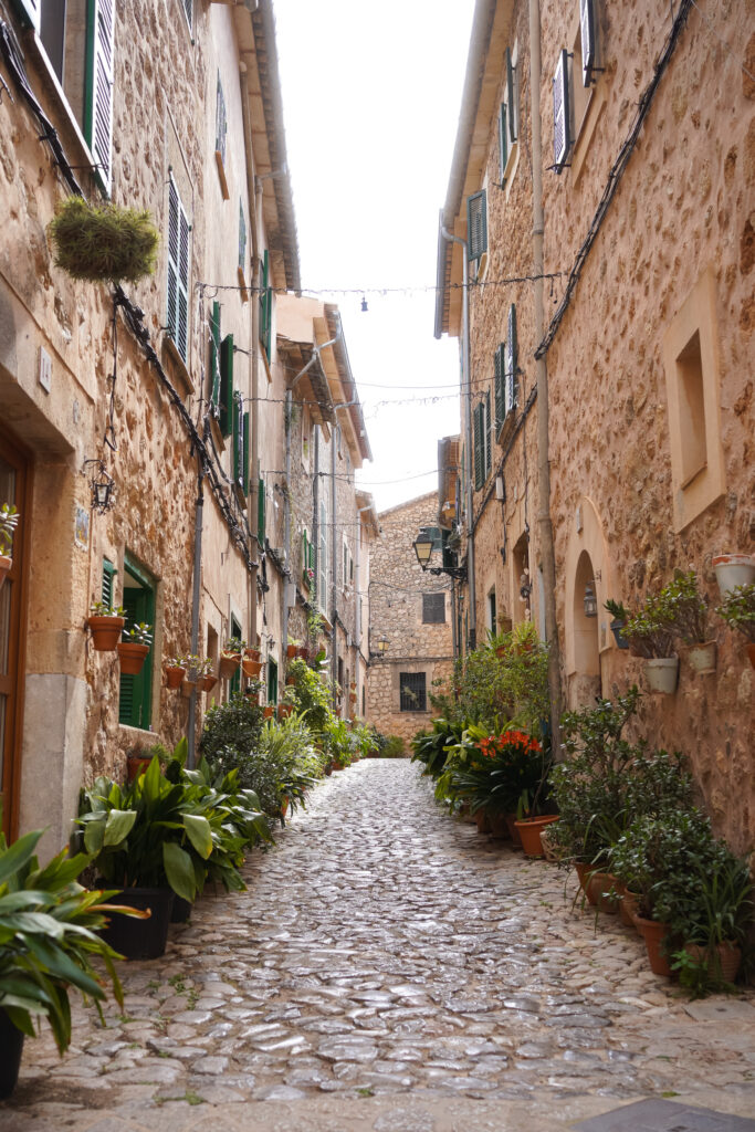 Valldemossa street with plants, photo by Alex Lau