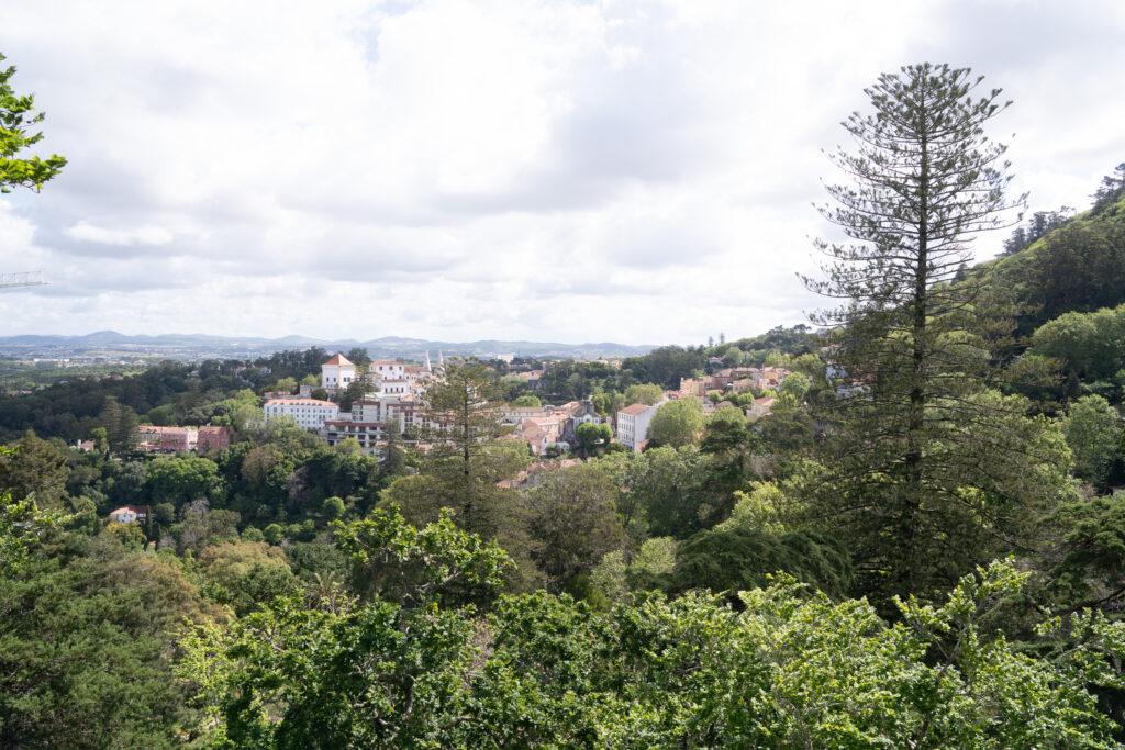 View from Sintra Castle, photo by Alex Lau