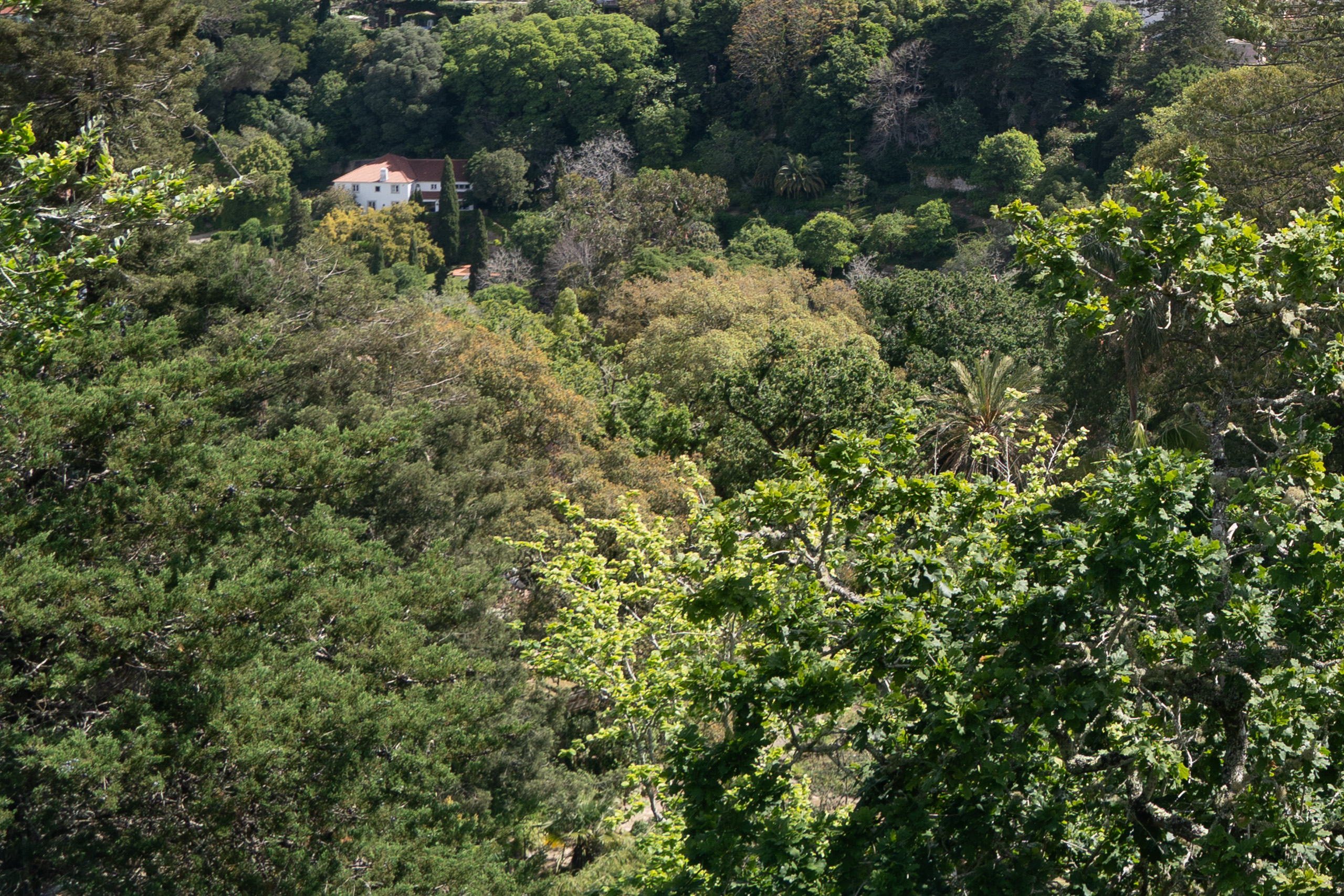 View from Sintra Castle, photo by Alex Lau (cropped)