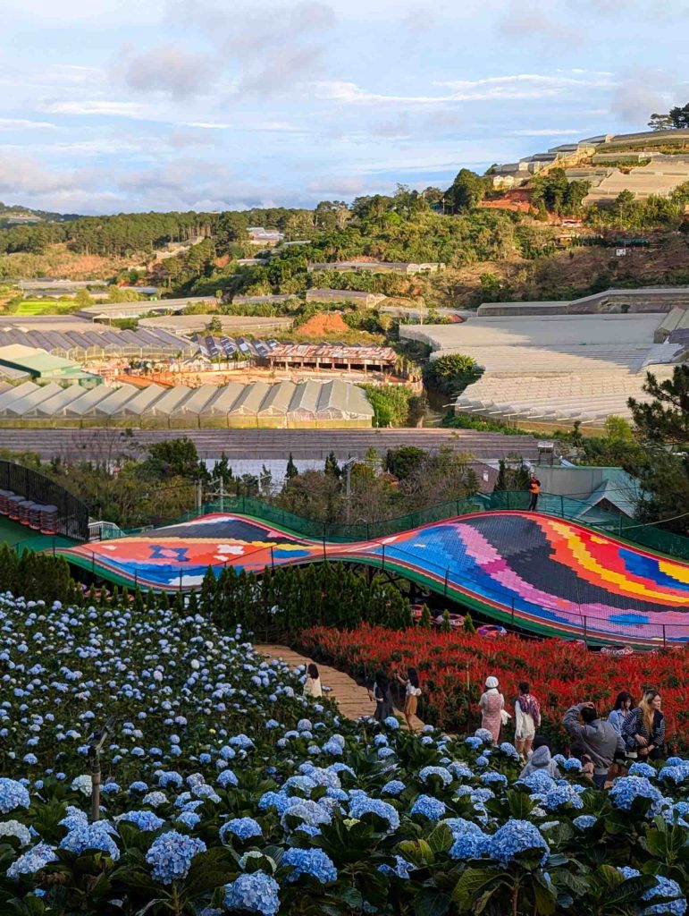 Alex Lau's 2025 Dalat Travelers Guide, Puppy Farm